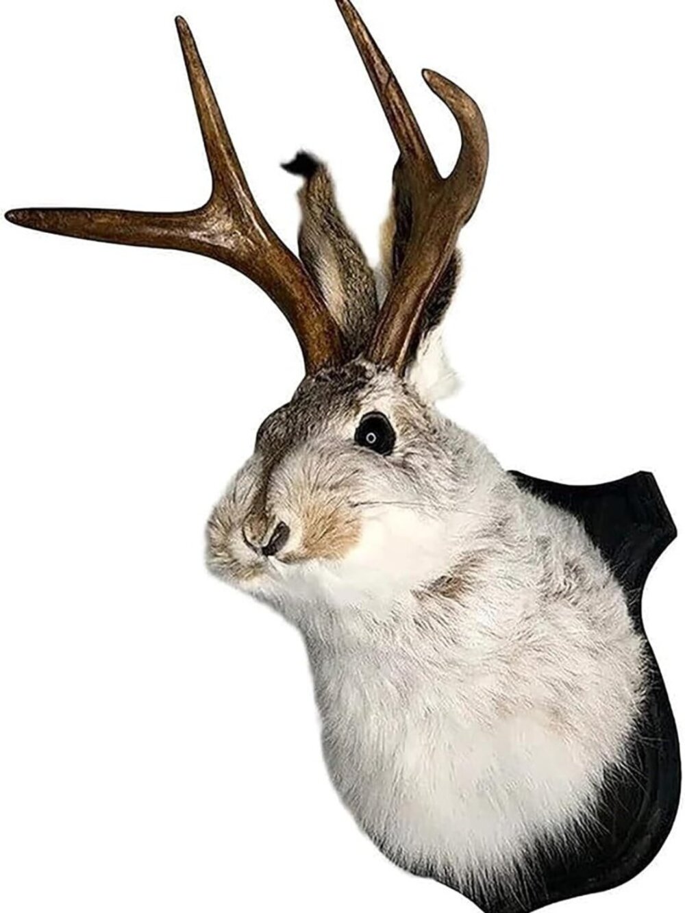 Jackalope Taxidermy Wall Mount | Unique Deer Head Resin Art for Home Decor
